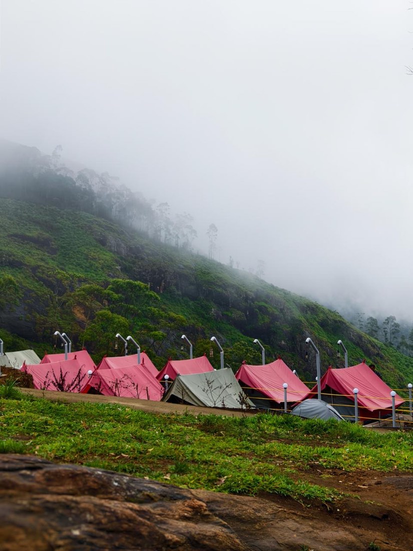 Tents on the misty Neelakurinji hillside at the campsite