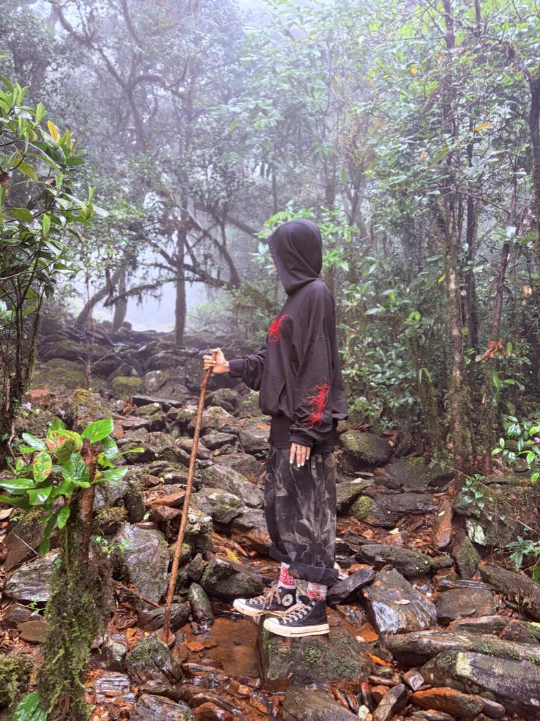 Misty shola rainforest